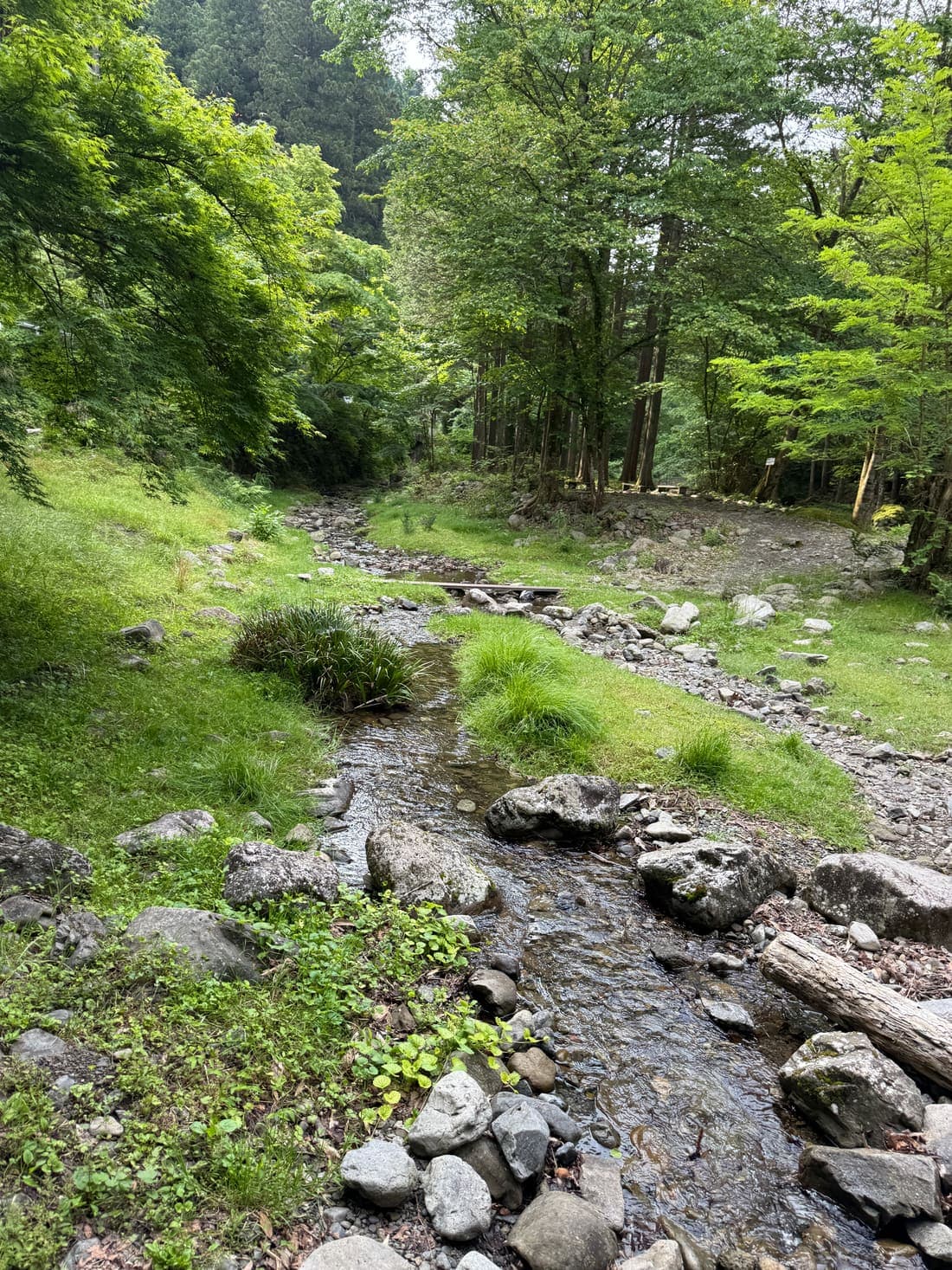 養沢センター付近の開けた流れ