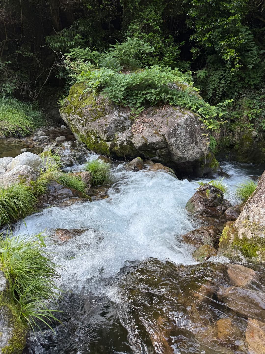 立岩の上の流れ